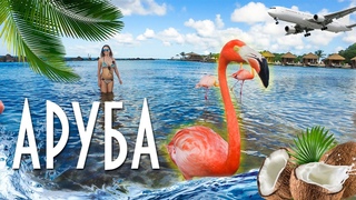 АРУБА - голландские Карибы: лучший пляж мира, розовые фламинго и древние пещерные рисунки