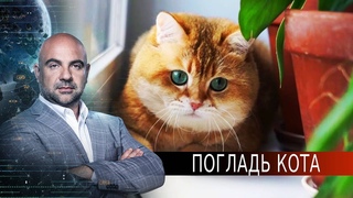 Погладь кота. «Как устроен мир“ с Тимофеем Баженовым ().