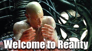 Welcome to Reality - Jaba & Friends