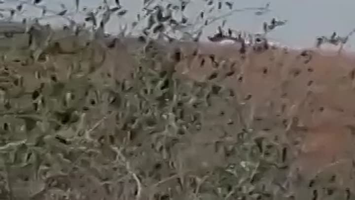 Нагнули рыбнадзор