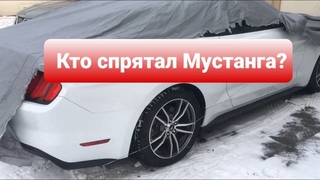 КТО СПРЯТАЛ МУСТАНГА?