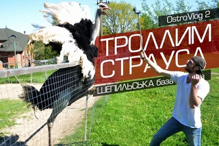 Vlog2: Троллим страуса “Шепильська“
