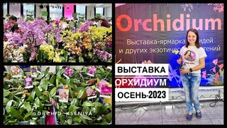 Орхидиум | Осенняя выставка орхидей 2023 | Орхидеи, суккуленты, лиственные, хищники, горшки, грунты