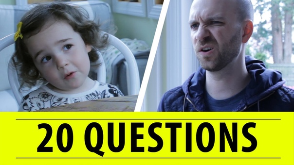 Playing 20 Questions With a 3 Year