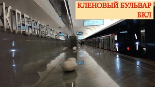 Метро “Кленовый бульвар“ БКЛ // 26 марта 2024