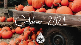 Indie/Rock/Alternative Compilation - October 2021 (1-Hour Playlist)