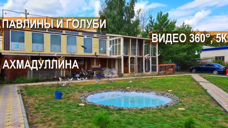 Голуби и павлины в хозяйстве Ахмадуллина Ильсура.
