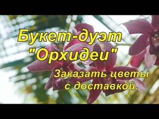 Заказать цветы с доставкой.  Купить орхидею. #shorts