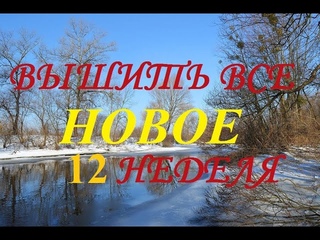 Вышить всё НОВОЕ (12 неделя) 2021г /Вышивка/Цыплята выросли