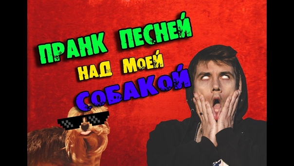 ПРАНК ПЕСНЕЙ НАД МОЕЙ