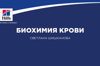 Биохимия крови.  Что важно знать практикующему врачу.