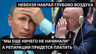 Мы еще ничего не начинали, а репарации уже придется платить.  НЕБЕНЗЯ НАБРАЛ ГЛУБОКО ВОЗДУХА