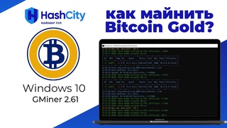 Майнинг Bitocin Gold на ноутбуке с GMiner - настройка и доходность майнинга биткоин голд BTG