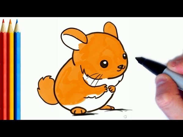 (fast version) How to Draw Cute Chinchilla, Step by Step Tutorial For