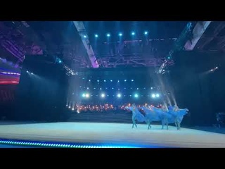 Russian National Group - Polovtsian dances RG&OPERA Show