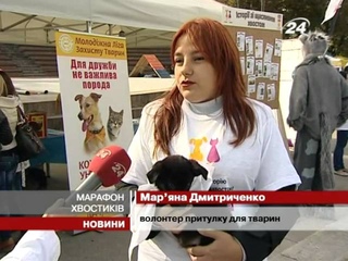 У День захисту тварин у Киві пройшов марш веселих хвостиків