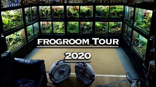 FROGROOM TOUR 2020!!!  THE ROOM IS FINALLY DONE!!