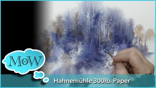 Testing Hahnemhle 300lb. Collection Watercolor Paper + White Ink Touchups.