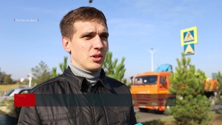Сосны и платаны высажены в День древонасаждения в Ростове-на-Дону