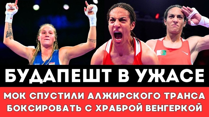 БУДАПЕШТ В УЖАСЕ МОК И Бах Спустили Алжирского Транса