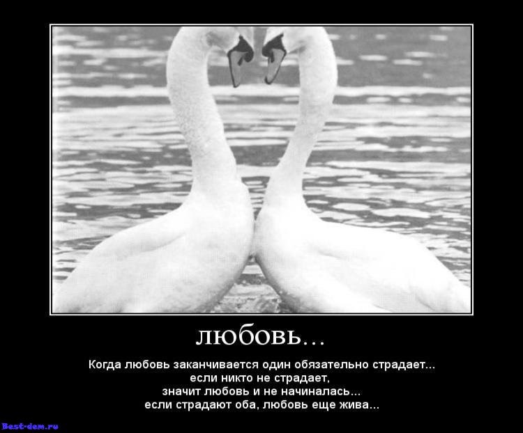 Дмитрий Слесарев | Мурманск