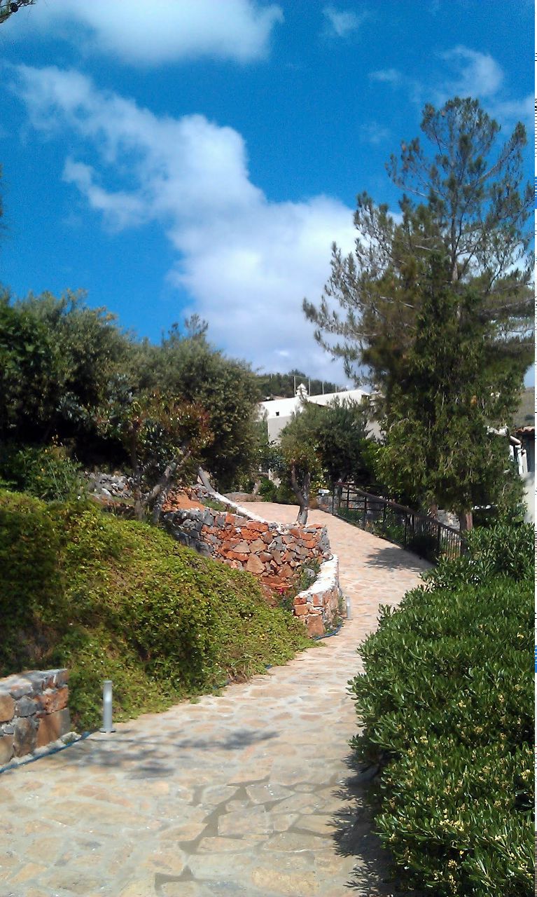 Алексей Мартынов | Москва