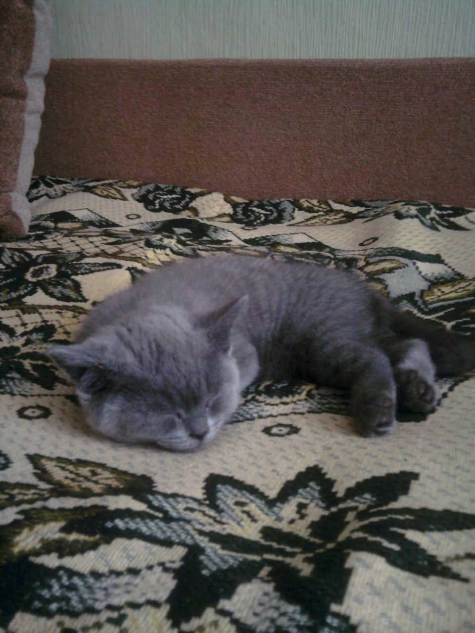 Ирина Второва | Одинцово