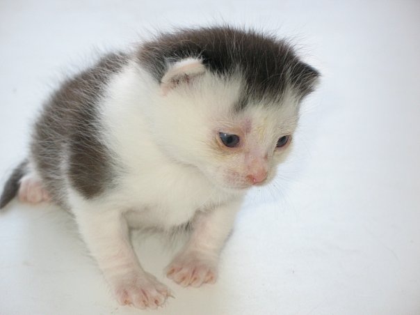 №7, Надежда Хомиченко №7, Надежда Хомиченко