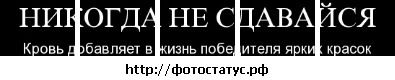 №40 Елена Карюк : профиль, фото, статус - ВКонтакте