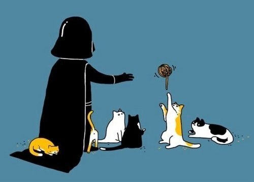 №41, Ирина Стребкова, 35 лет, Воронеж №41, Ирина Стребкова, 35 лет, Воронеж