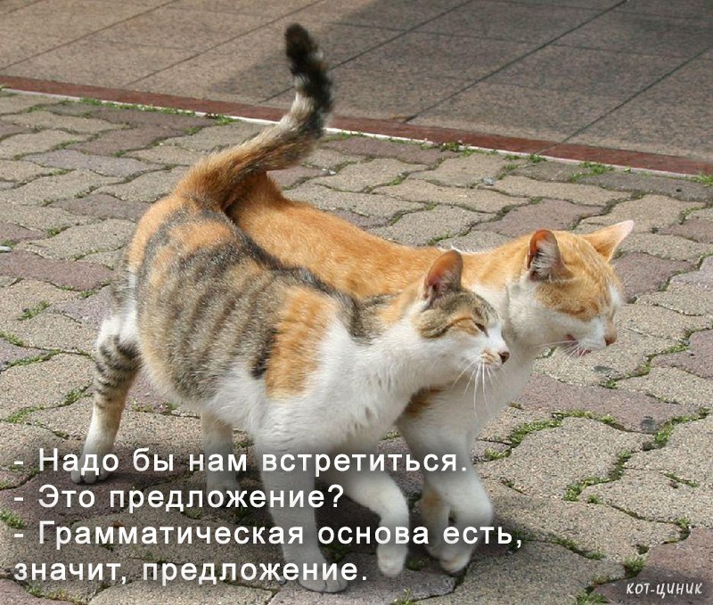 Дима Чечерин | Санкт-Петербург