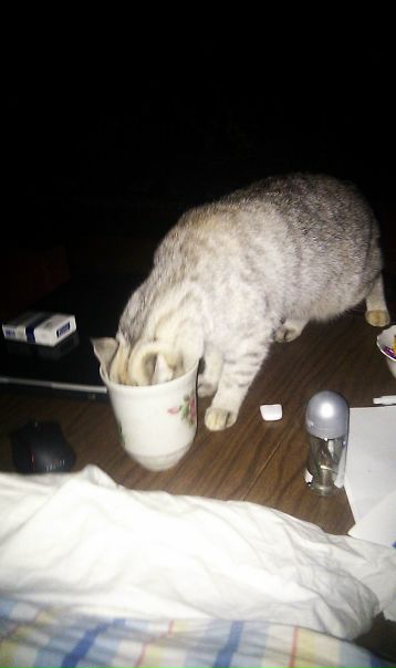 №85, Глеб Логунов, Москва №85, Глеб Логунов, Москва