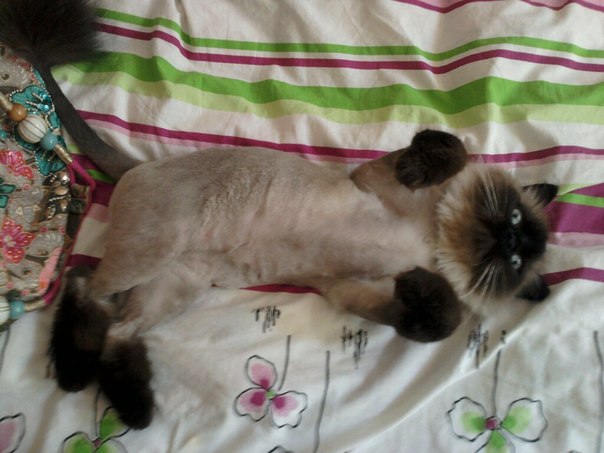 №113, Екатерина Парфенова, 32 года, Москва №113, Екатерина Парфенова, 32 года, Москва