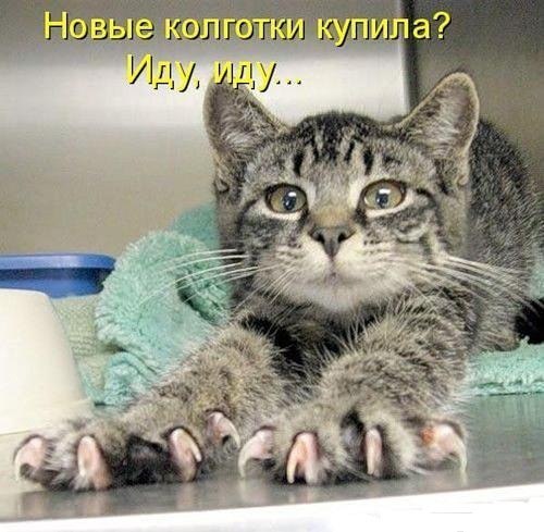 Дима Зайцев | Киев