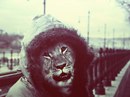 Фотография Снегиря Ярослава