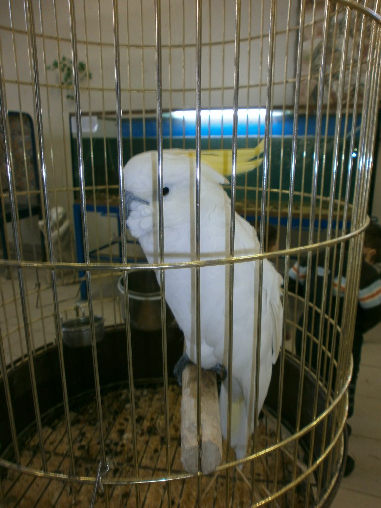 Елена Назарова | Псков