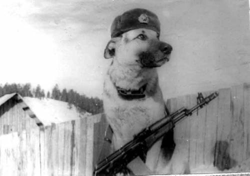 Дмитрий Куликов | Новосибирск