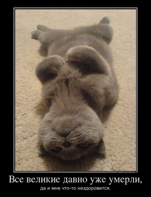 Сергей Гуйда | Днепр (Днепропетровск)