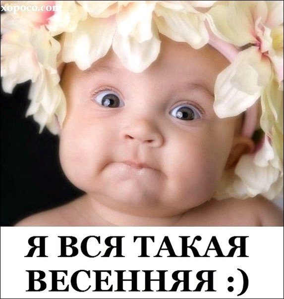 Алеся Константинович ★Кудряшк@★ | Великий Новгород