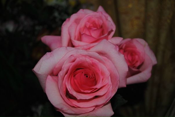 №64, Екатерина Чернышова, Липецк №64, Екатерина Чернышова, Липецк