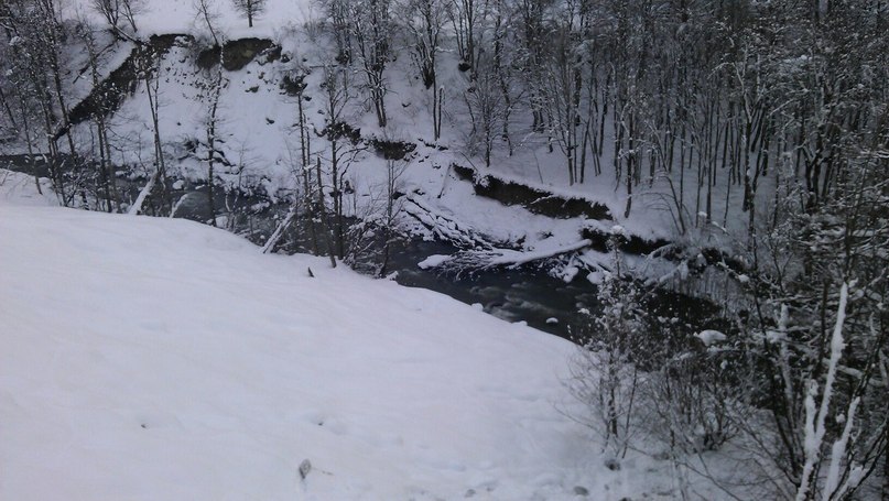 Михаил Чумаков | Волгоград
