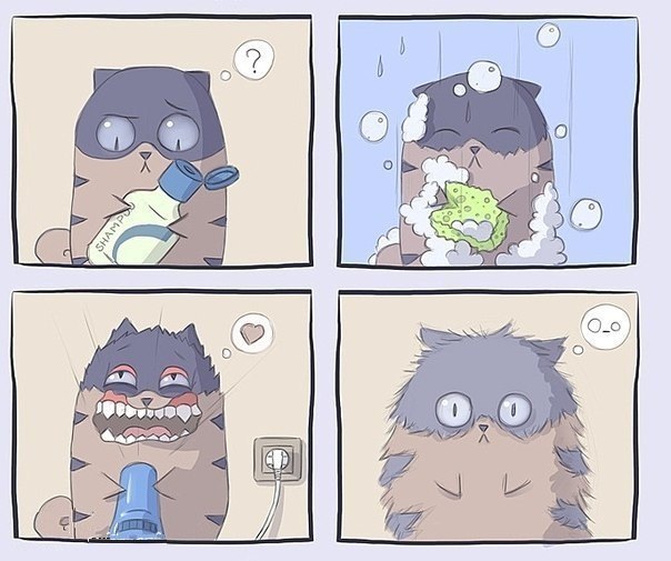 Тимур Жаббаров Tulio | Зеленоград