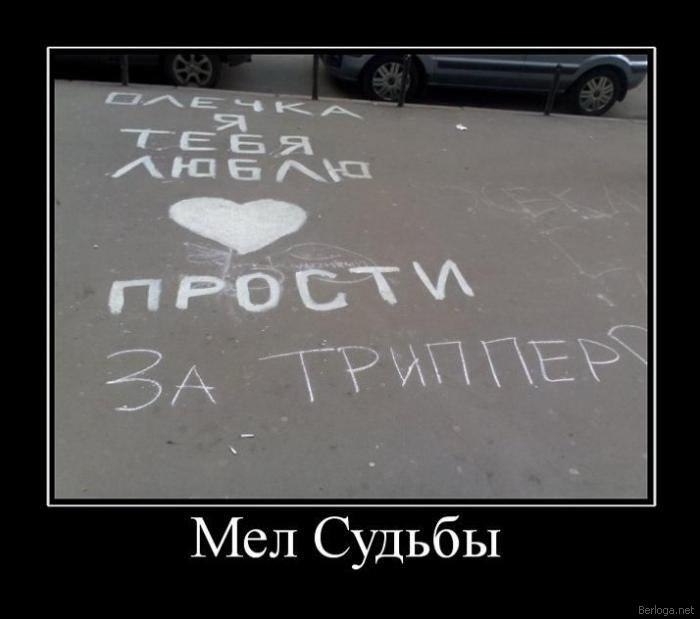 Илья Бортник | Пласт