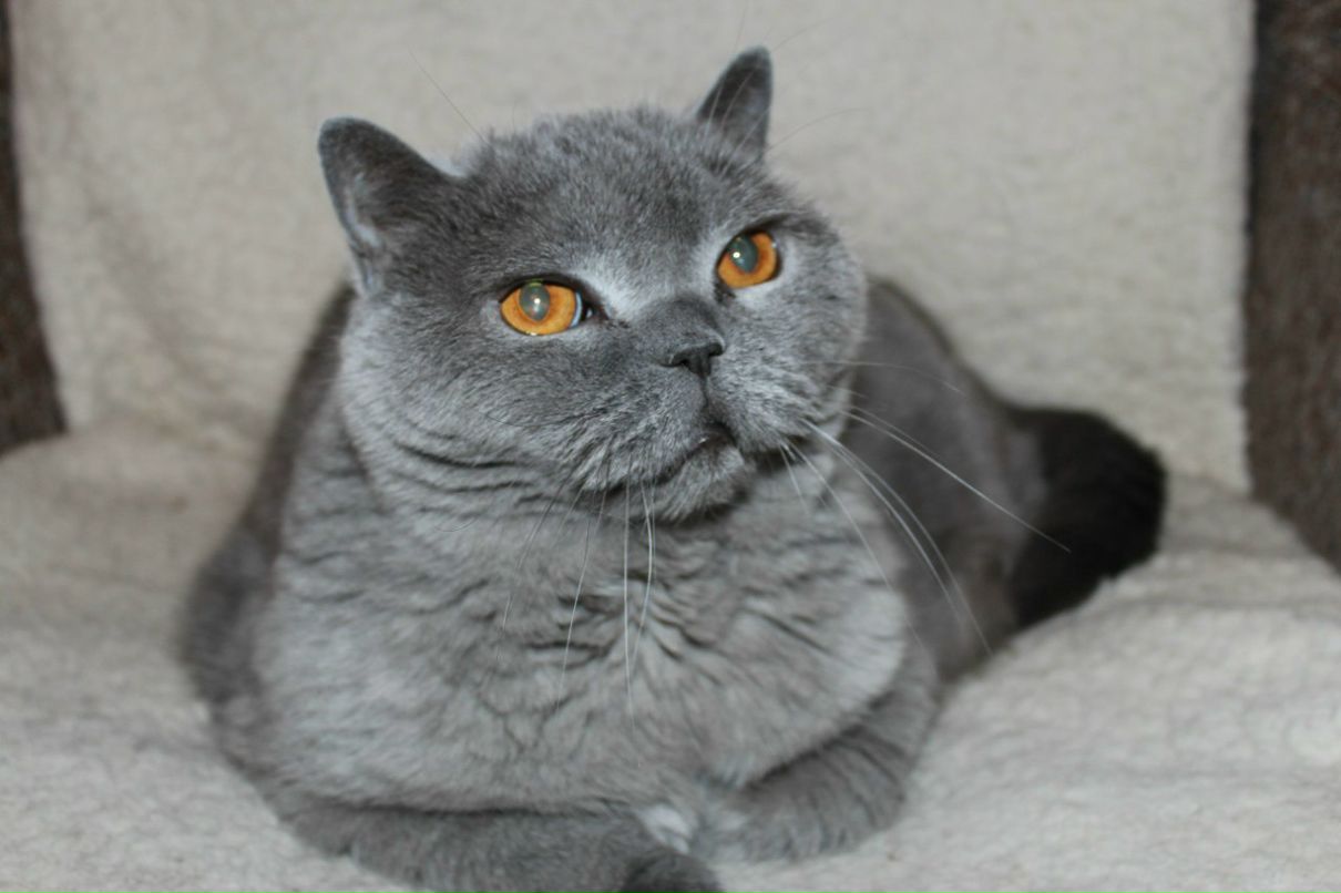 Егор Зыков anywaycry | Москва