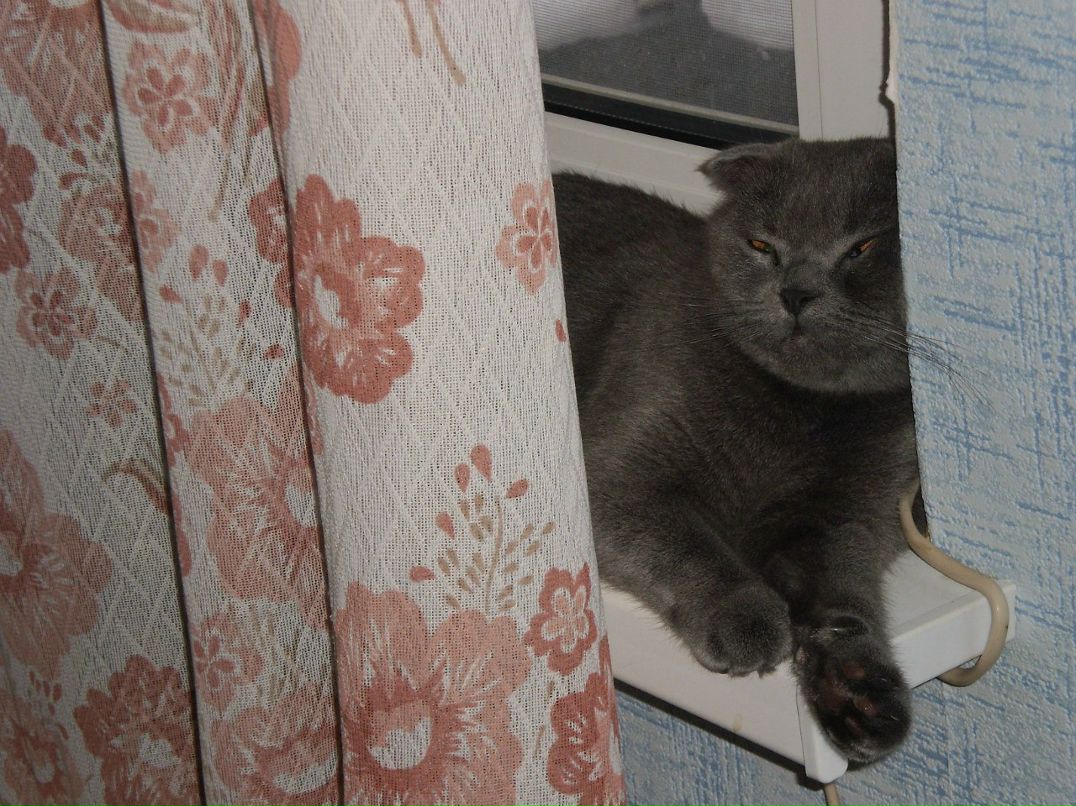 Лидия Барынина | Москва