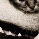 №31, Дмитрий Ожерельев, Борисоглебск №31, Дмитрий Ожерельев, Борисоглебск