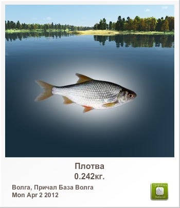 Сергей Алексеев | Санкт-Петербург