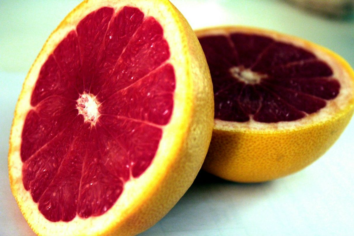 Олег Сафронов | Санкт-Петербург