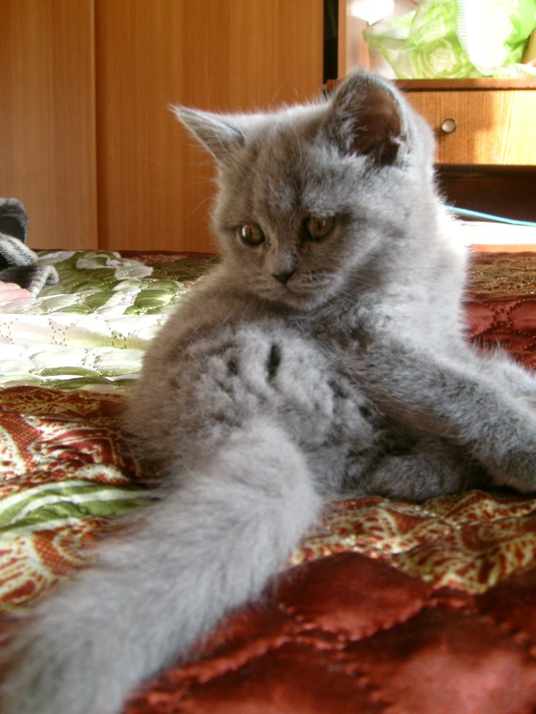 Владимир Виноградов | Санкт-Петербург