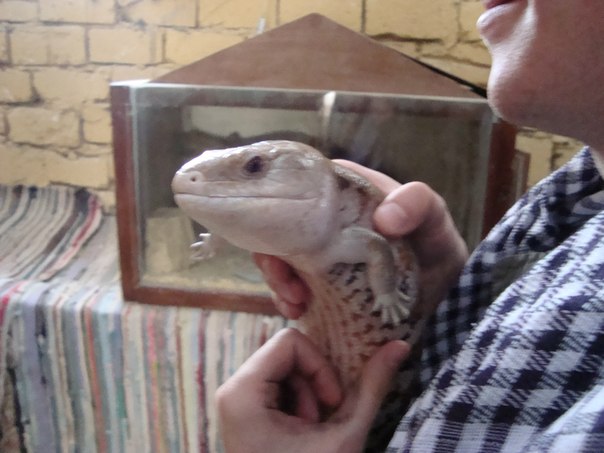 №89, Тимур Габдрахманов, 40 лет, Уфа №89, Тимур Габдрахманов, 40 лет, Уфа